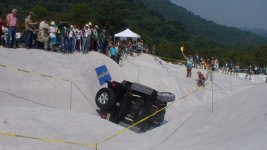 Radical Challenge 2011 p.jpg