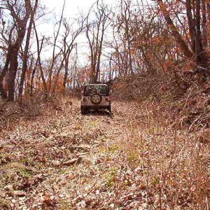 Eastern Kansas Hills, 4