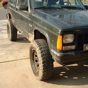 back in the driveway fender 1