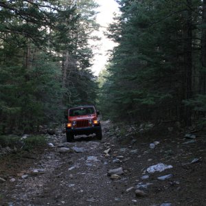 New Mexico Trails