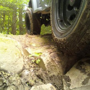 Rock Crawling in the back yard