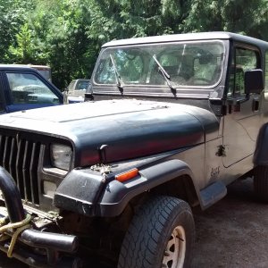 jeep in the woods