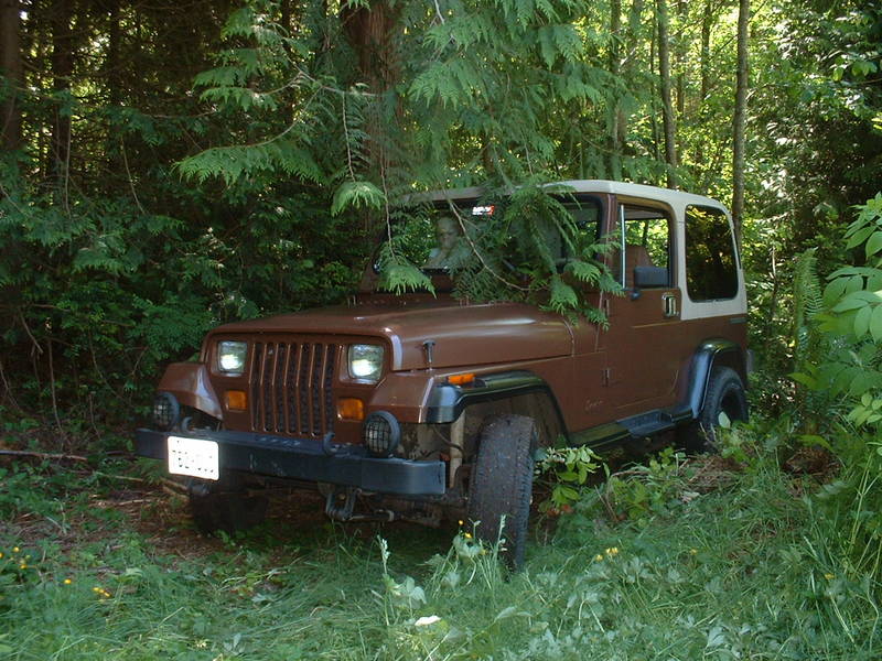 89 YJ Sahara Edition