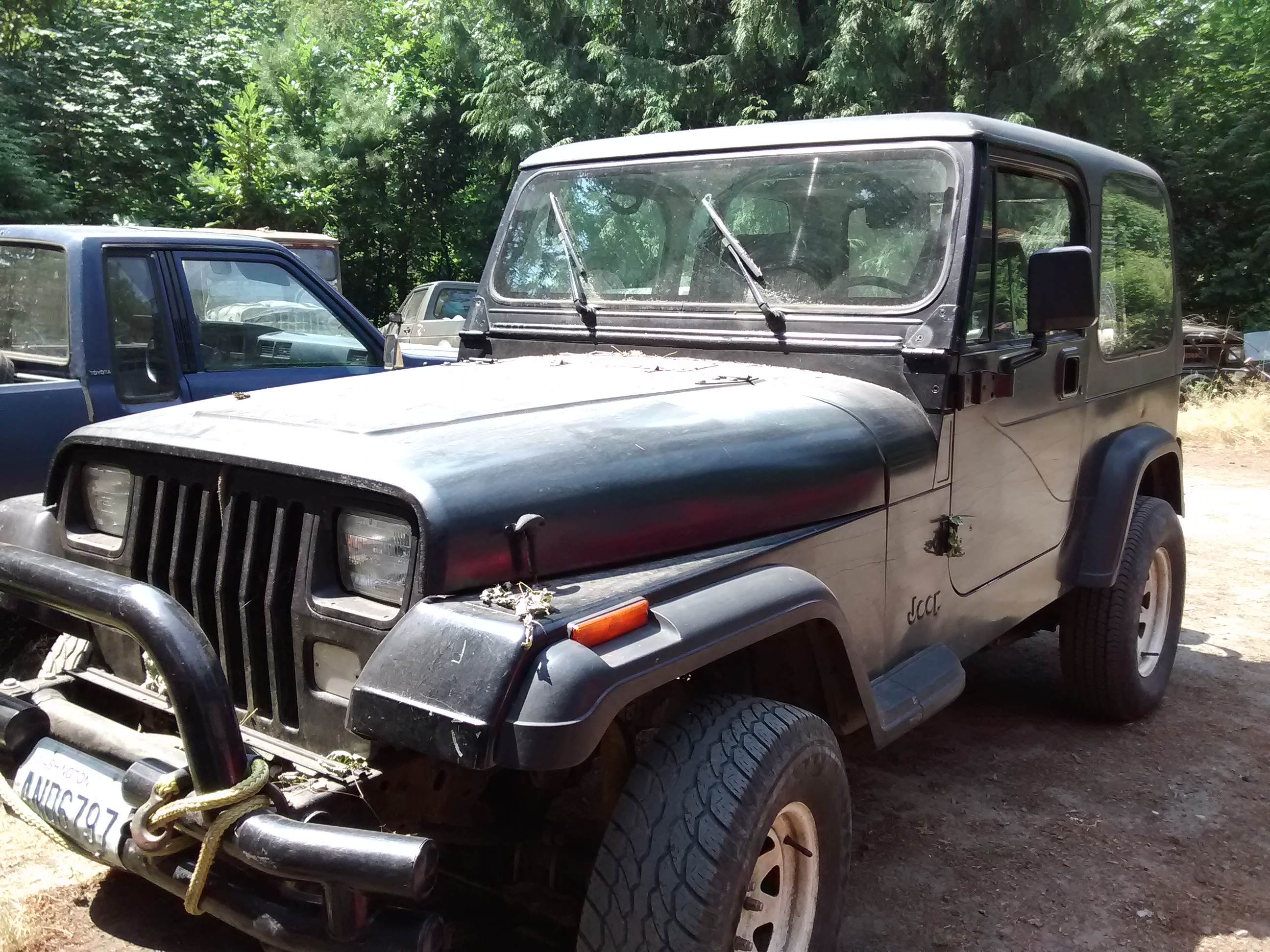 jeep in the woods