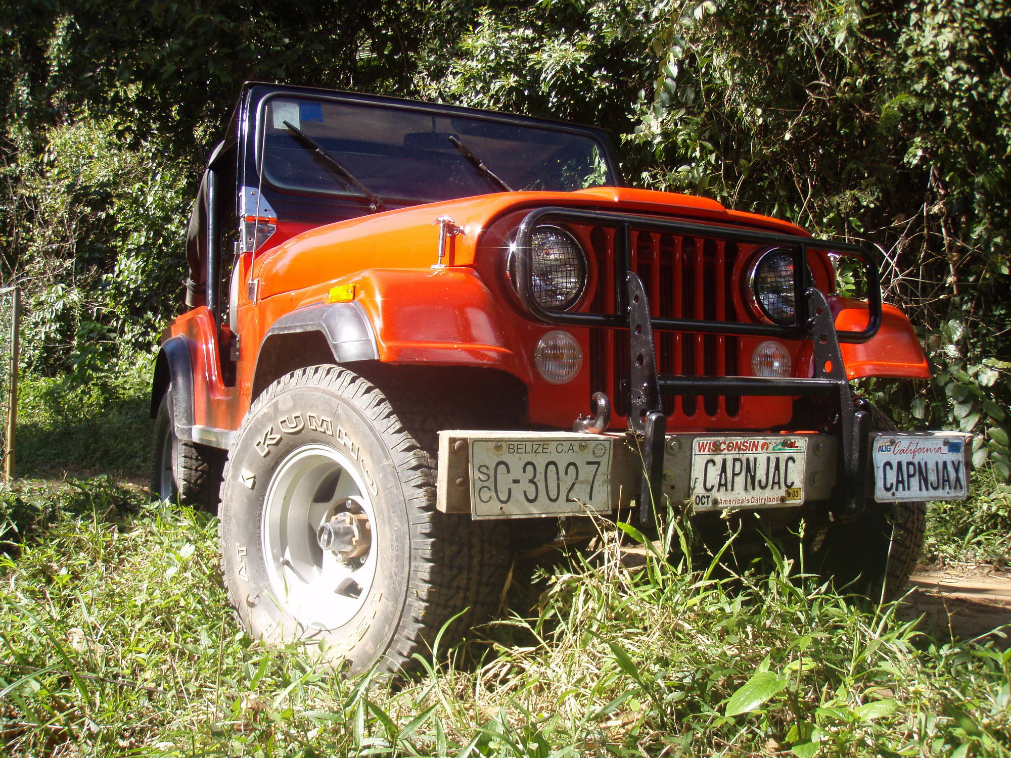 jeep_in_jungle1