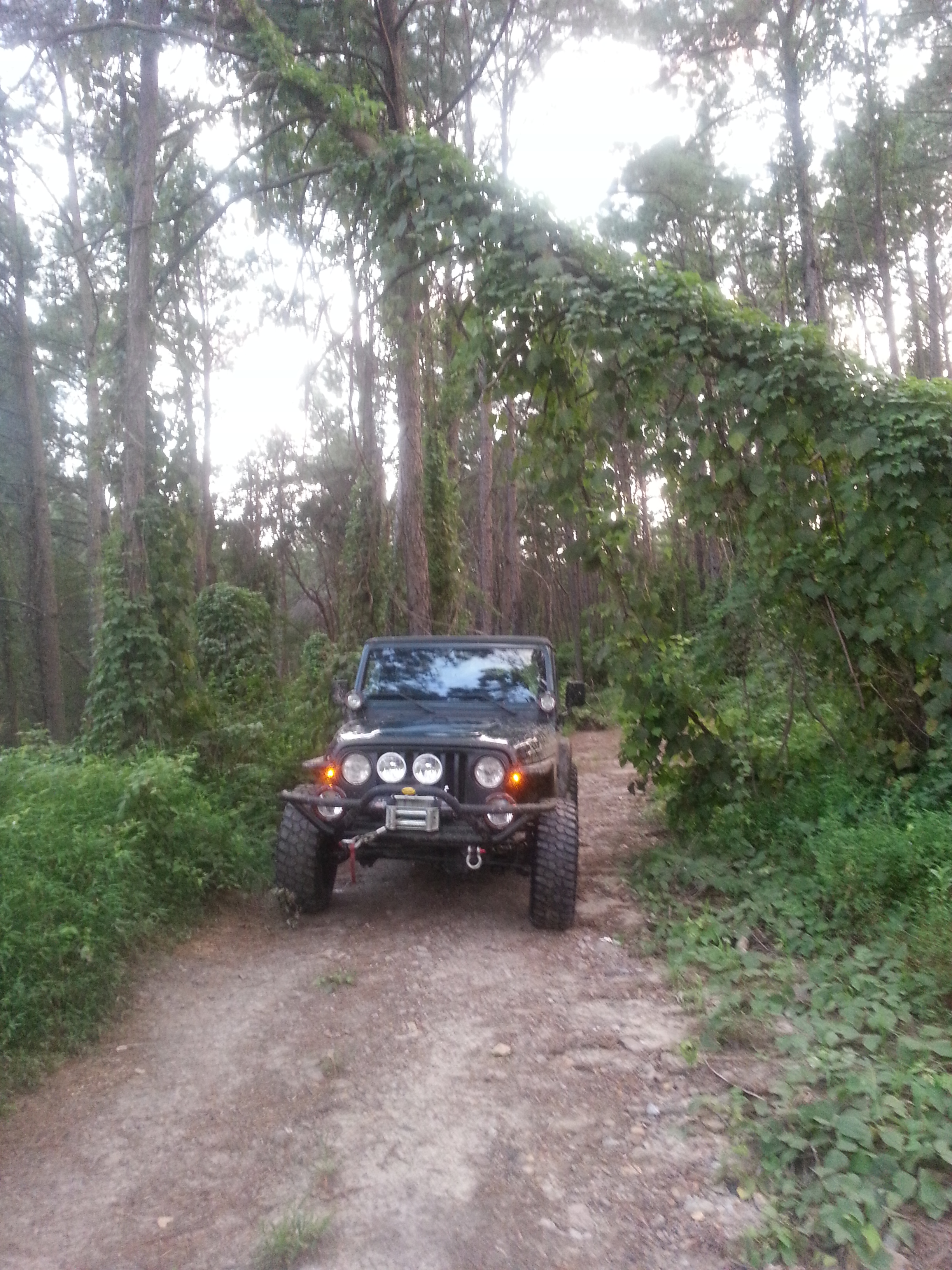 My 99 TJ