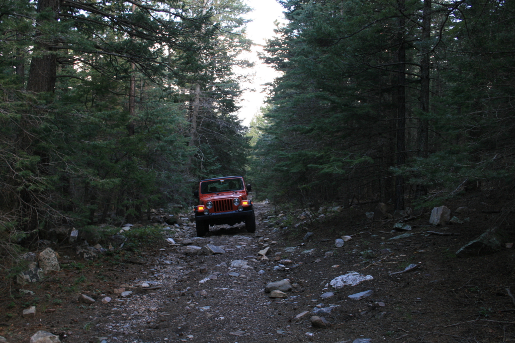 New Mexico Trails