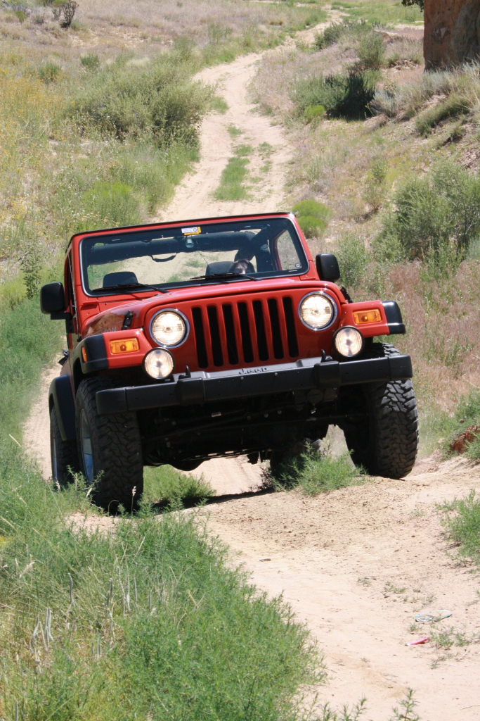 New Mexico Trails