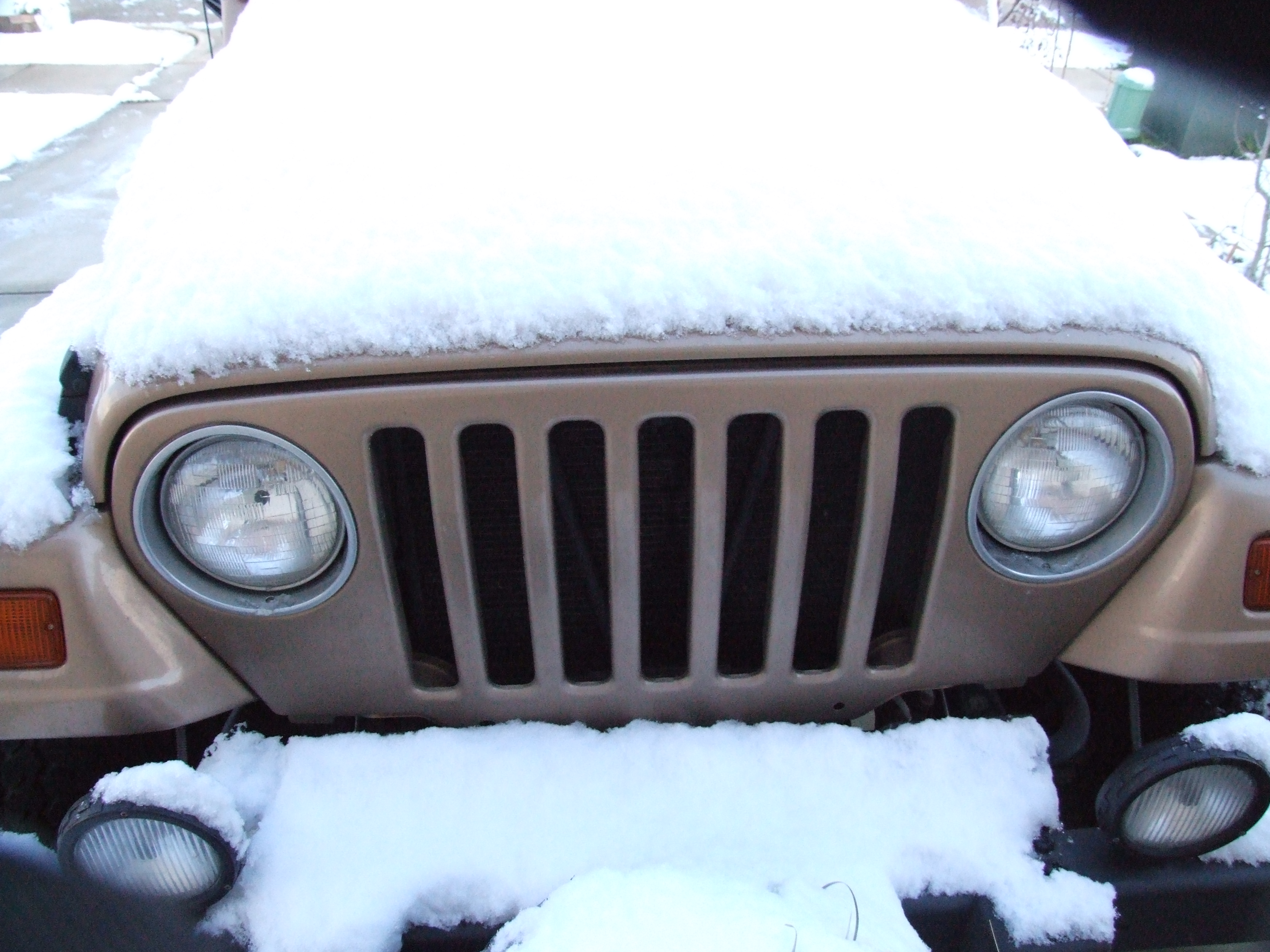 Snow in Texas?!?!