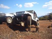 stump crawlin