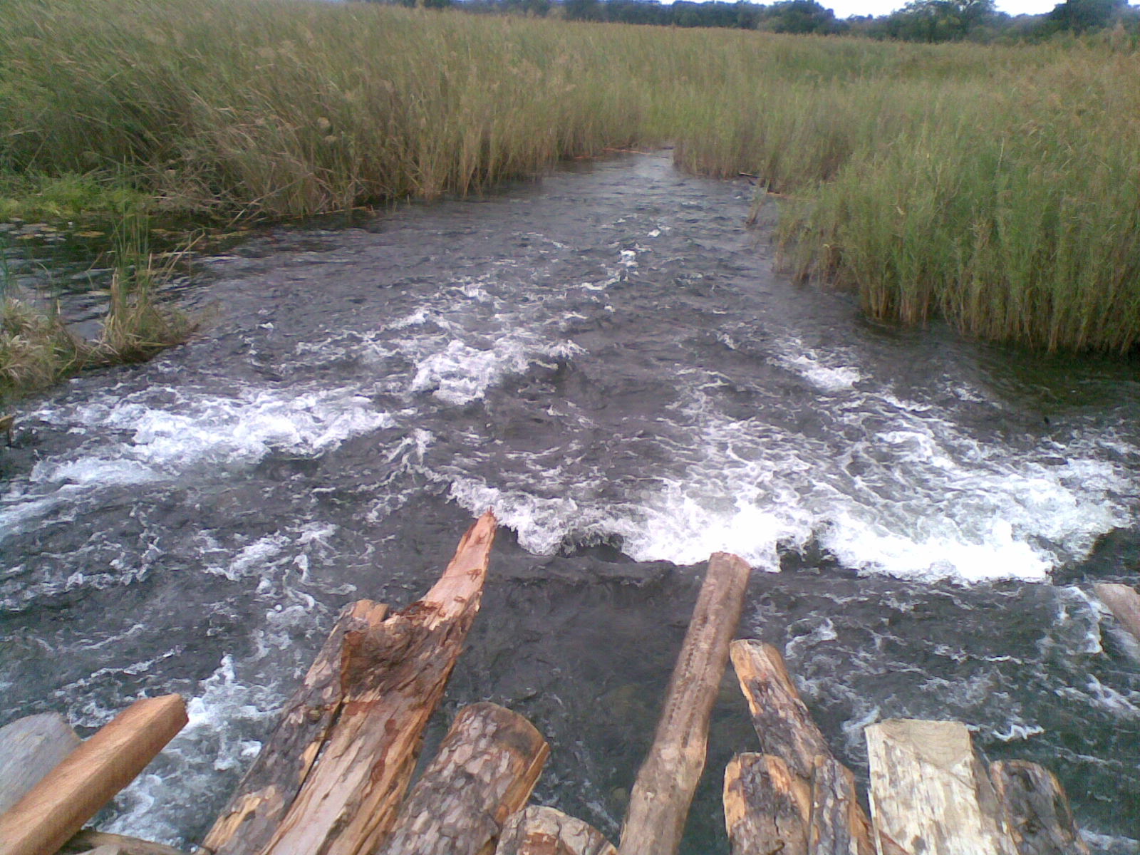 Zambia/Congo border