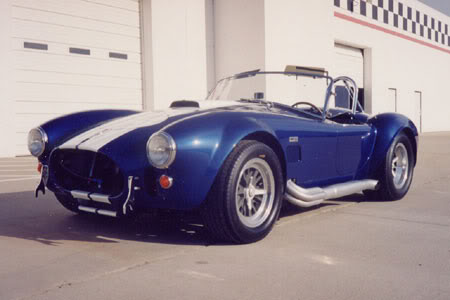 cobra_1_450-4.jpg