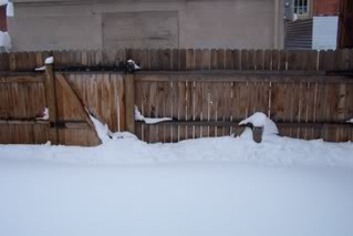 blizzard002-2.jpg