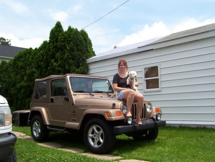 Myjeepy-1.jpg